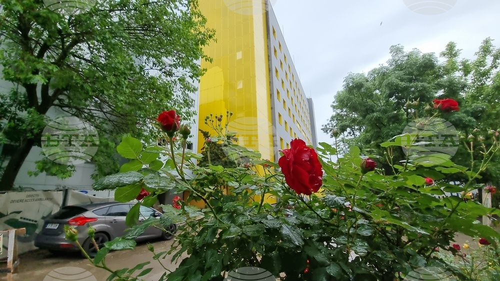 Румъния - детска онкологична болница