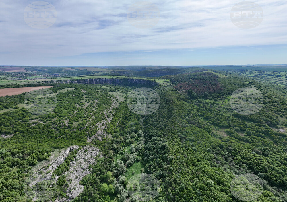 WWF: New Logging Rules Threaten Bulgaria’s Forests, Biodiversity, and Climate Resilience