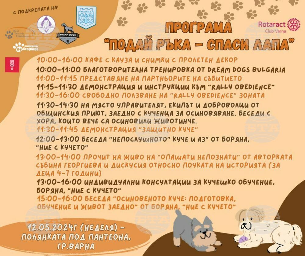 Община Варна: Демонстрации и беседи за осиновяване на кученца организират в кампанията „Подай ръка – спаси лапа“