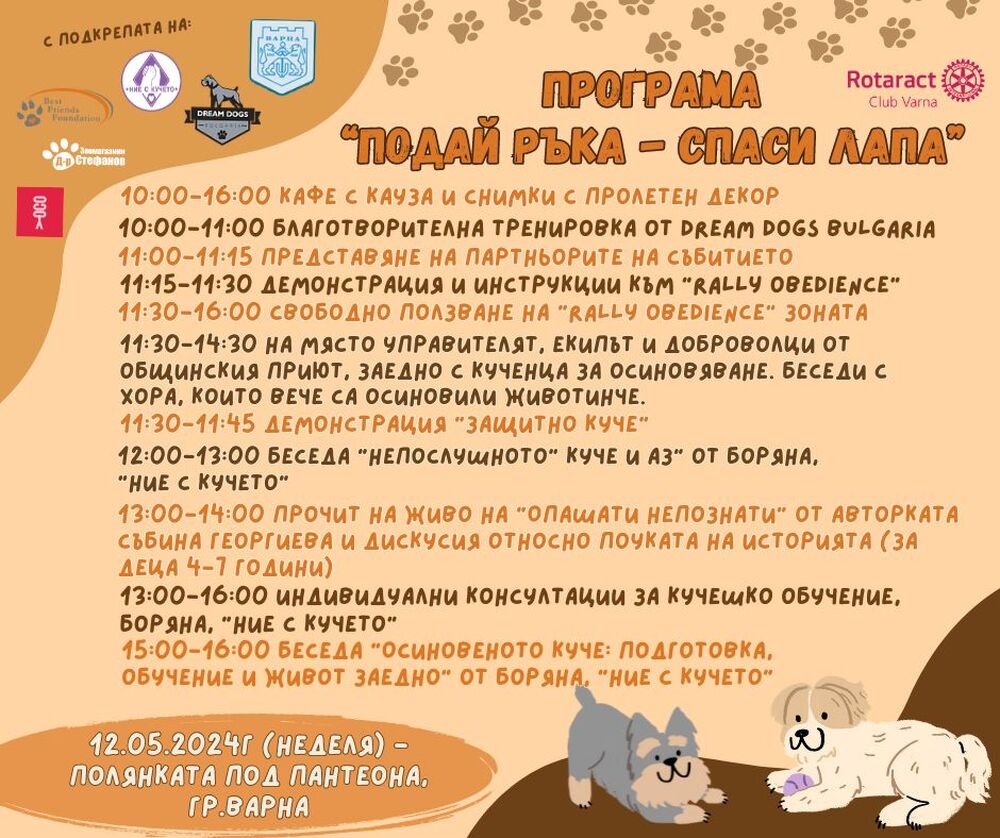 Община Варна: Демонстрации и беседи за осиновяване на кученца организират в кампанията „Подай ръка – спаси лапа“