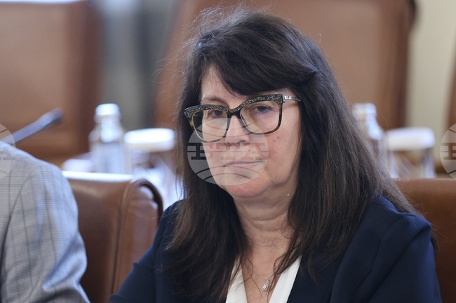 Служебният министър на здравеопазването Галя Кондева се срещна с представители на Българската асоциация на зъботехниците