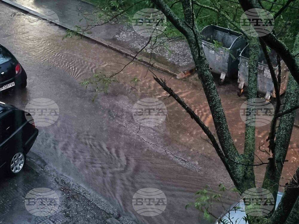 Сигнали за отводняване на къщи и улици и паднали дървета са получени в пожарната след бурята в Плевен
