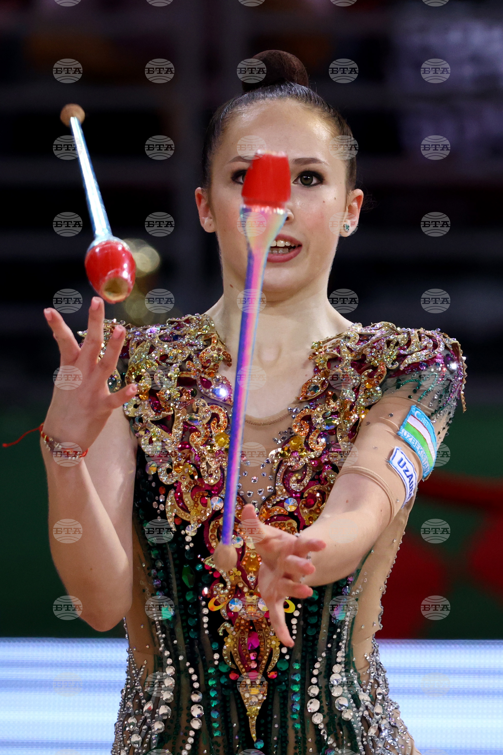 Световно първенство по художествена гимнастика - финал