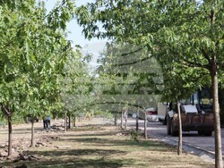 Снимка: Община Хасково - ремонт парк  на „Кенана“ 