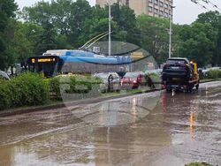 Снимка: Община Плевен