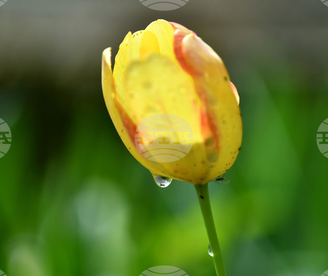 Прогноза за времето 