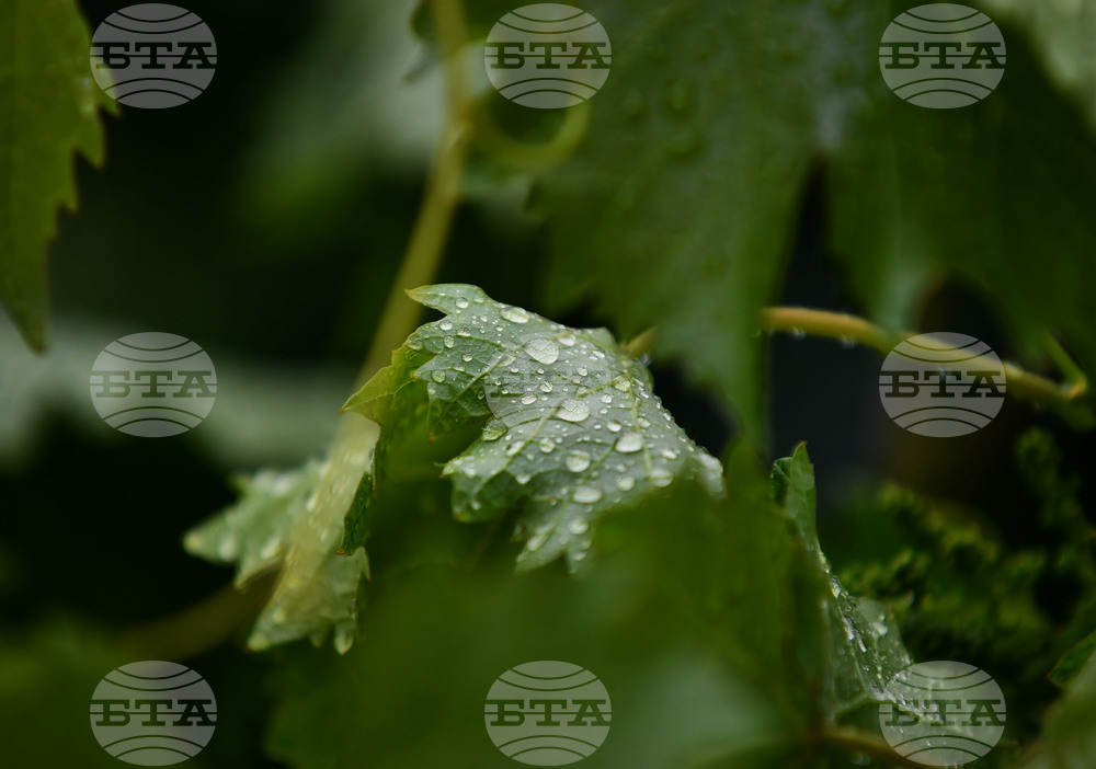 Село Свещари - дъждовно време