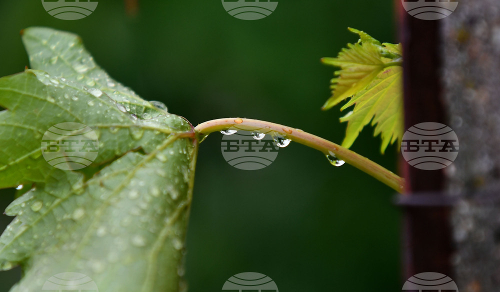 Село Свещари - дъждовно време