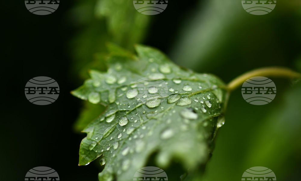 Село Свещари - дъждовно време