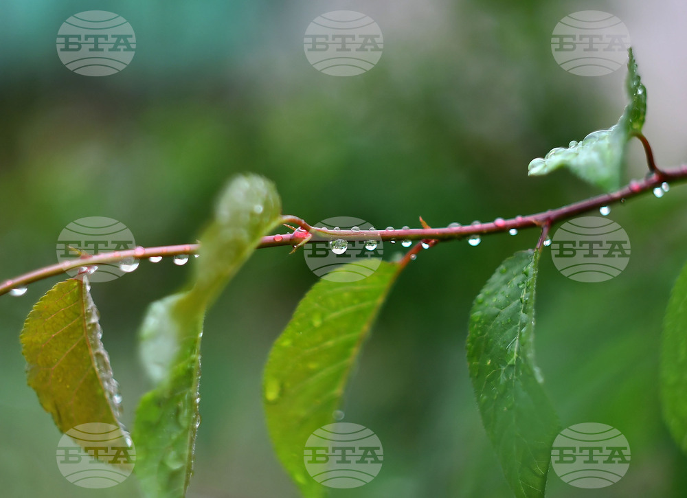 Прогноза за времето