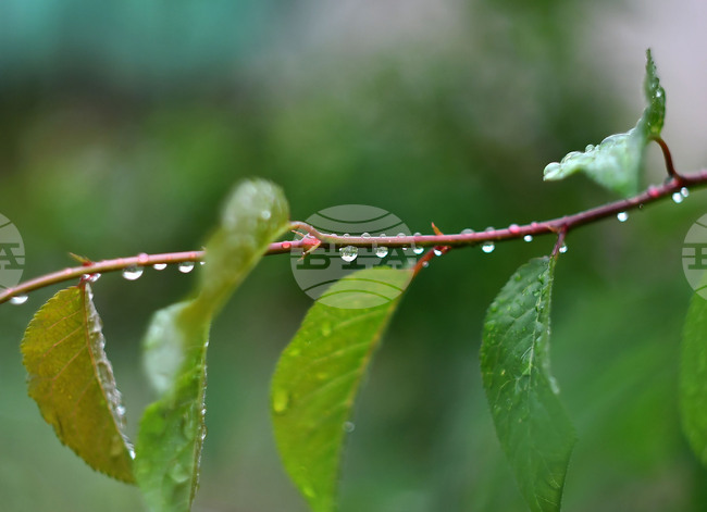 Прогноза за времето