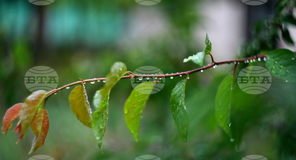 Село Свещари - дъждовно време