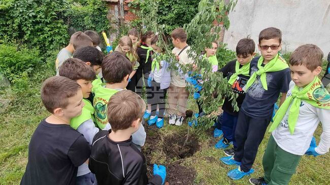 Хасково - Ден на Европа - залесяване
