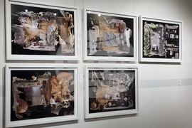 Добрич - изложба - „Яйце от крава, мляко от кокошка“