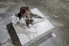 Добрич - изложба - „Яйце от крава, мляко от кокошка“