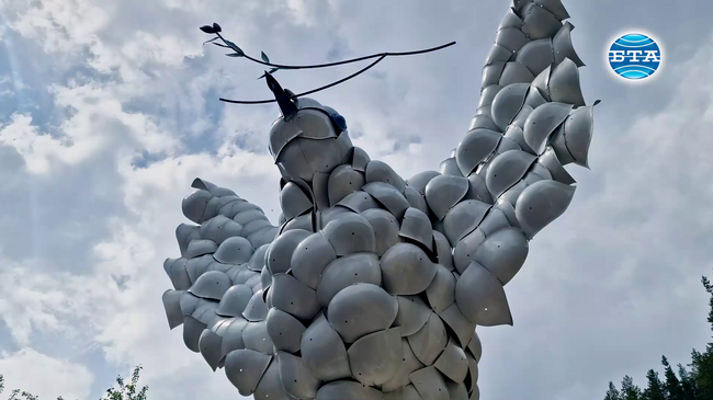 В Деня на Европа 79 бели гълъба полетяха в небето над родопското село Забърдо