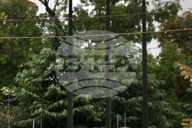 Ден на София - празнична церемония