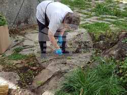 Снимка: Община Банско - „Да изчистим България заедно”