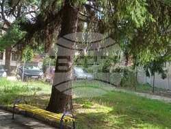 Снимка: Община Банско - „Да изчистим България заедно”