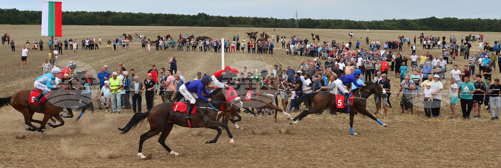 Исперих - конни надбягвания - кушии
