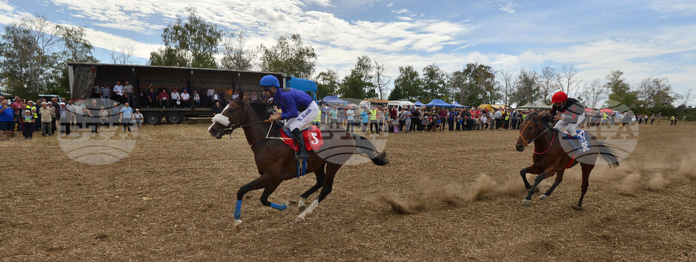 Исперих - конни надбягвания - кушии