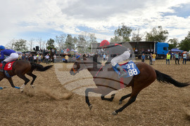 Исперих - конни надбягвания - кушии