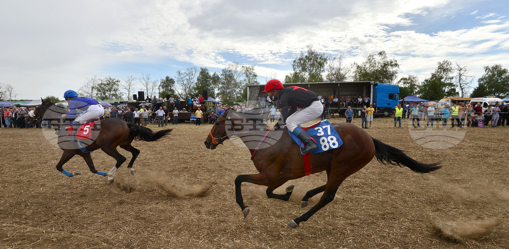 Исперих - конни надбягвания - кушии
