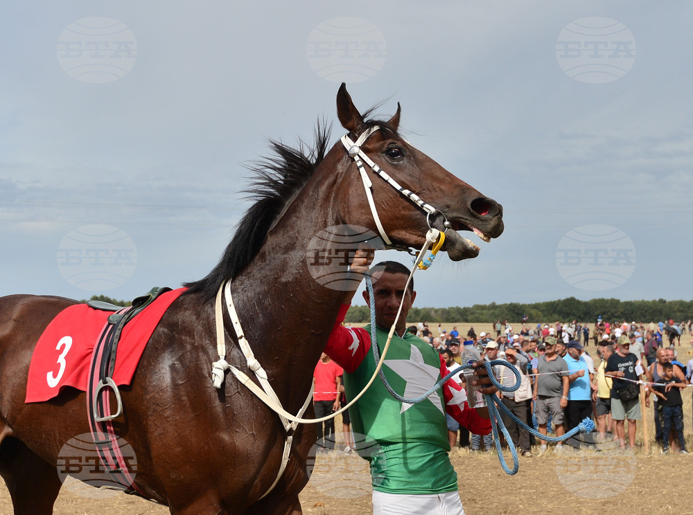 Исперих - конни надбягвания - кушии