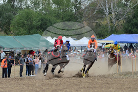 Исперих - конни надбягвания - кушии