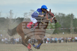 Исперих - конни надбягвания - кушии