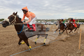 Исперих - конни надбягвания - кушии