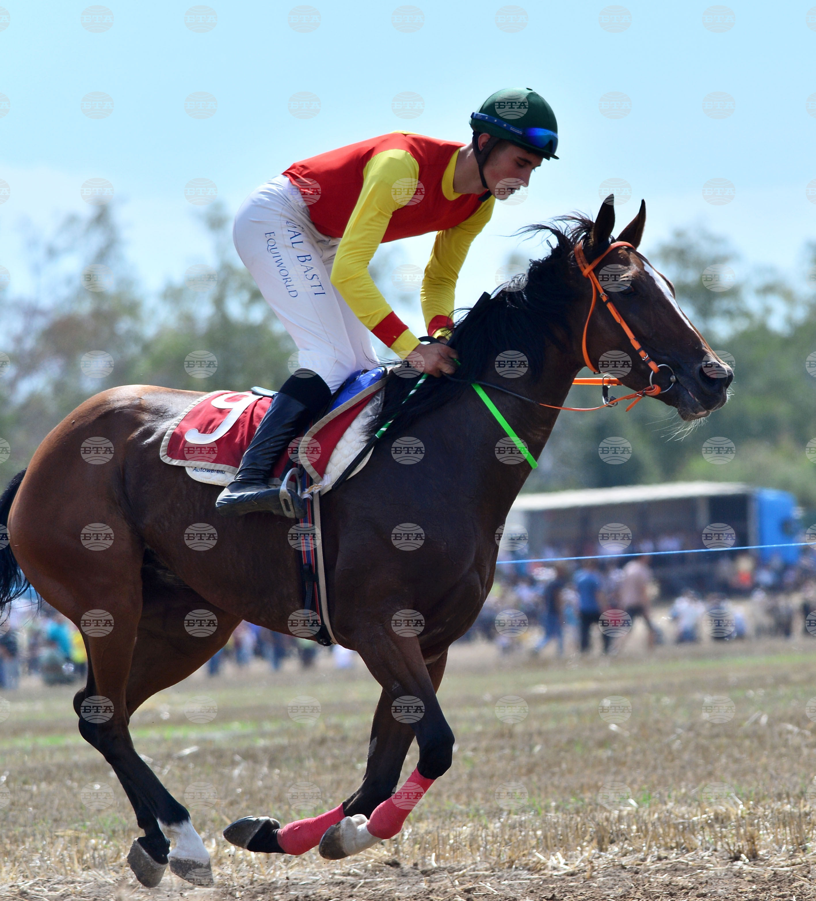 Исперих - конни надбягвания - кушии