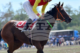 Исперих - конни надбягвания - кушии