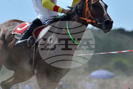 Исперих - конни надбягвания - кушии