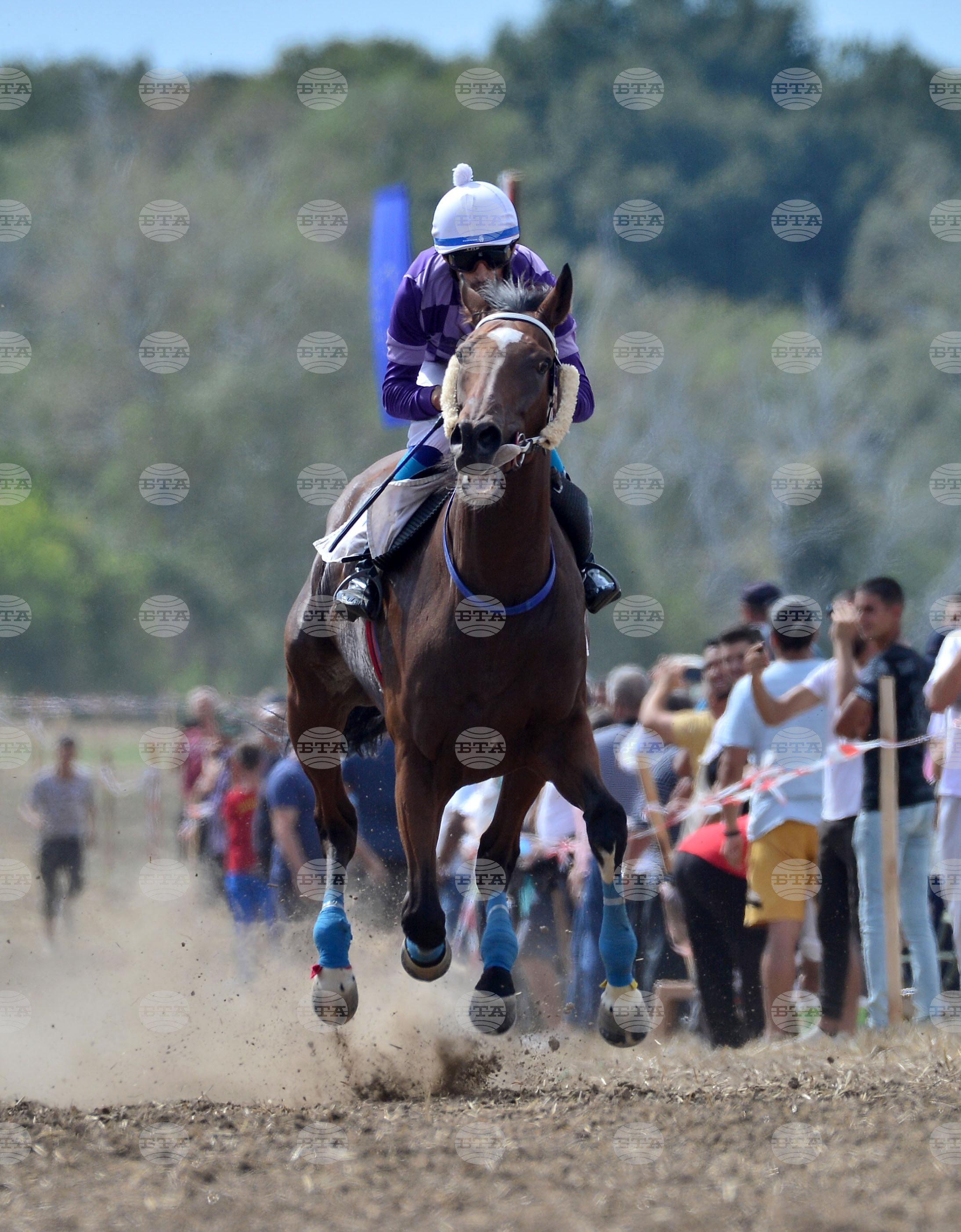 Исперих - конни надбягвания - кушии