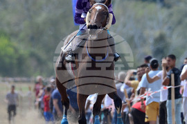 Исперих - конни надбягвания - кушии
