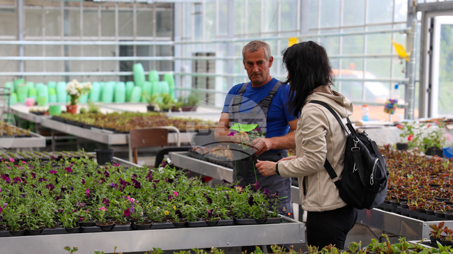 Unemployment in Bulgaria in April Is 5.7%