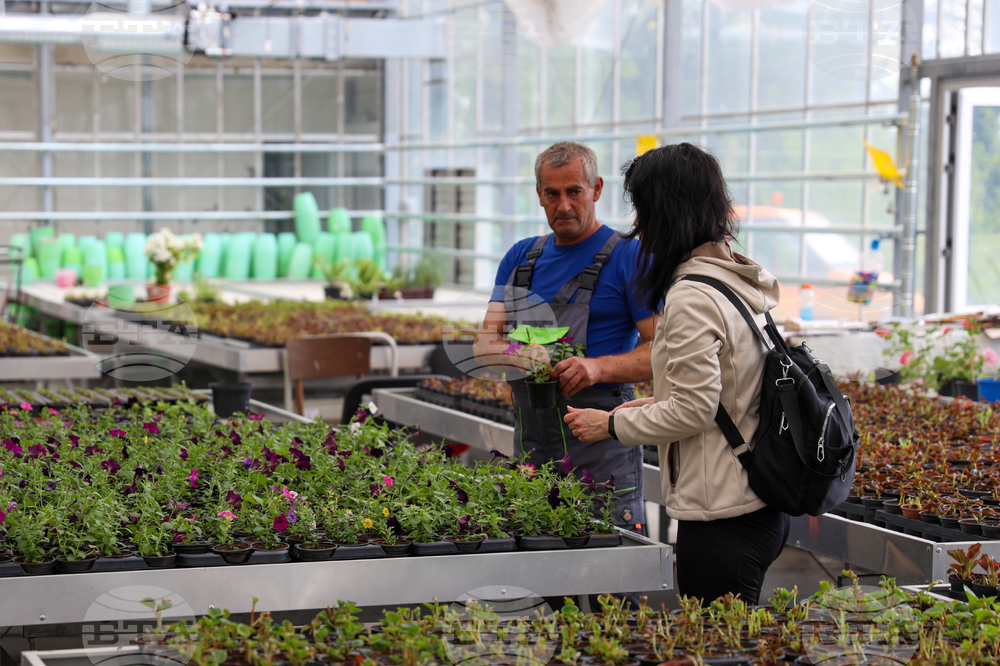 Гоце Делчев - оранжерия „Цветен град“ - проект