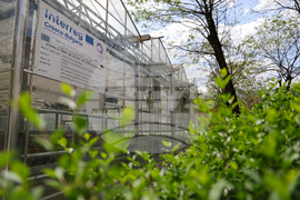 Гоце Делчев - оранжерия „Цветен град“ - проект