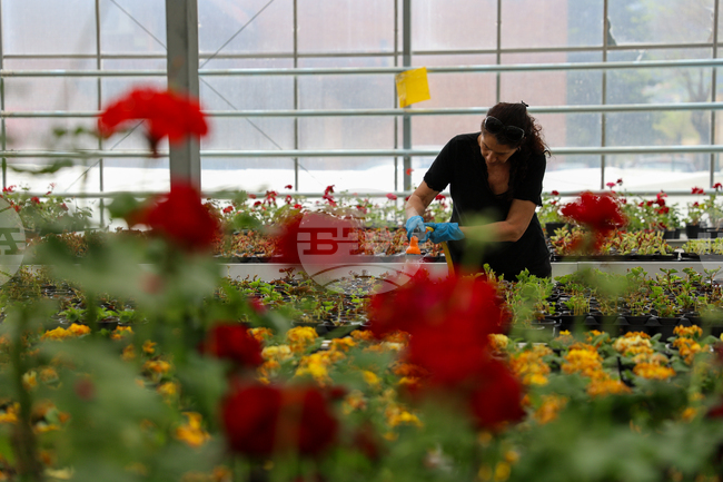 Безработицата през февруари е 5,6%, съобщи Агенцията по заетостта