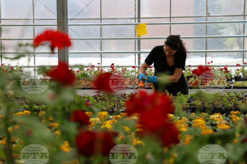 Гоце Делчев - оранжерия „Цветен град“ - проект