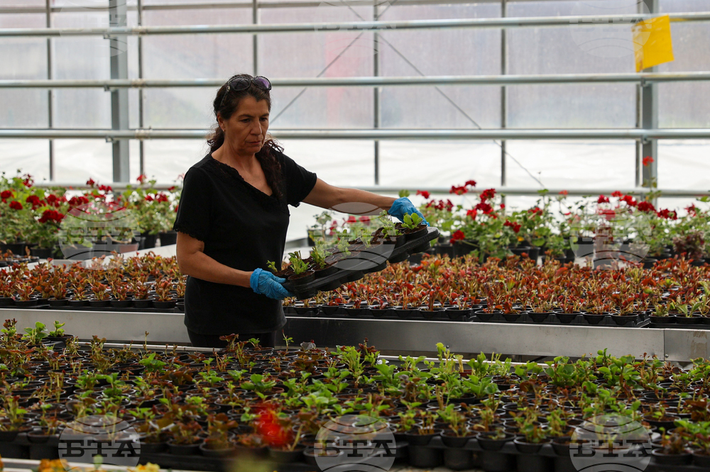 Гоце Делчев - оранжерия „Цветен град“ - проект