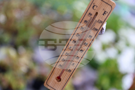 Гоце Делчев - оранжерия „Цветен град“ - проект