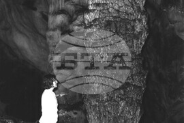 Пещера „Магура“ - най-красивата в България