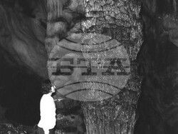 Пещера „Магура“ - най-красивата в България