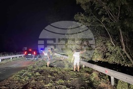 Бургас - пътят Бургас-Поморие след бурята