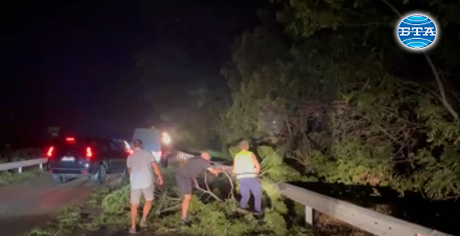 Разчистват пътя Бургас – Поморие след стихийната буря 