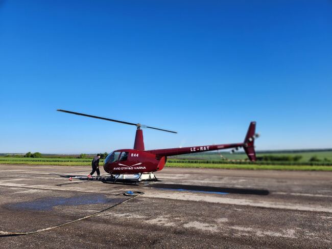 Северноцентрално държавно предприятие ДП - Габрово: Горите на ДГС „Сеслав“ са обработени срещу Гъботворка