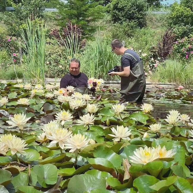 Община Плевен: Любители и професионални художници ще творят в първи художествен пленер на открито сред водни лилии 