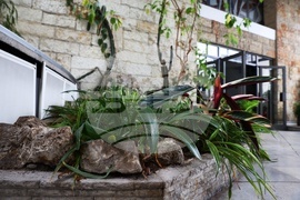 Министерство на земеделието – Ден на отворените врати